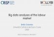 Big data analyses of the labour market · The challenges of the future •Technology, population ageing, migration flows are affecting the labour market with a strength and a speed