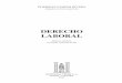 DERECHO LABORAL - Editorial Temis S.A. · DOMINGO CAMPOS RIVERA Abogado de la Universidad Libre EDITORIAL TEMIS S. A. Bogotá - Colombia 2017 DERECHO LABORAL Octava edición, revisada