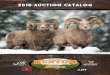 2018 AUCTION CATALOG · 2020-02-21 · 3 Welcome to the 12th Annual Western Hunting & Conservation Expo. Sportsmen for Fish & Wildlife and the Mule Deer Foundation are excited to