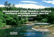 Roadmap for small-scale hydro power plant · Risks for investors 12 International experience 14 2. RESULTS 17 ... Roadmap for small scale-hydro power projects in Ukraine INTRODUCTION