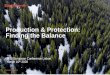 Production & Protection: Finding the Balance · 2020-03-16 · 8 Finding the balance - Dvinsky, Russia Challenge: balancing HCV/IFL and forestry/production Our journey: • 2016 -
