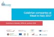 Calabrian companies at Meet in Italy 2017calabriaeuropa.regione.calabria.it/website... · Calabrian High tech S.r.l. (CHT) DARTAGNAN is a low-cost, highly flexible and easy to use