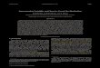 Supersaturation Variability and Cirrus Ice Crystal Size Distributions¤rcher-JAS1.pdf · Supersaturation Variability and Cirrus Ice Crystal Size Distributions B. KÄRCHER,A.DÖRNBRACK,