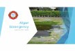 Algae Emergency Presentation - Cape Coral, Florida Algae Emergency Presentation.pdfAug 23, 2018  · remove algae. Three test sites for this project were identified within Cape Coral: