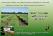 NATIONAL ACADEMY OF AGRICULTURAL SCIENCES OF UKRAINE … · 2014-05-28 · The composition of grain legume collection of the Ukrainian research institutes (2012) Collection of grain
