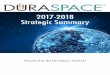 2017-2018 Strategic Summary - DuraSpace · scholarly infrastructure we all depend on. With help from our Board of Directors DuraSpace has completed a draft map. The map of the scholarly