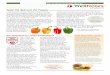 september 2012 Taste the Bell and the Pepper · Much of the weight you lose in a crash diet is muscle, not just fat. And the end result increases the risk for visceral fat to deposit