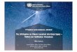 The UN Register on Objects Launched into Outer Space ... · outer space activities (A/71/20, Annex), noting that this first set of guidelines is ready for States and international