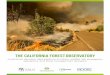 The California Forest Observatory - Salo Sciences · Vibrant Planet, and Planet Labs have teamed up to build the California Forest Observatory, a combination of cutting-edge satellite