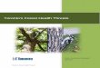 Toronto's Forest Health Threats€¦ · resources for the protection of the urban forest by incorporating integrated pest management programs. Invasive non-native forest pests (both