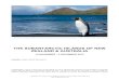 THE SUBANTARCTIC ISLANDS OF NEW ZEALAND & AUSTRALIA · 2016-07-31 · on the Tuataras - a prehistoric reptile endemic to a few New Zealand offshore islands -, that are captively bred