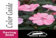 Catalog Spring 2020 LQ (No Pricing)...Size - Order 4.5”,6”, HB Plant/Color - Be as specific as possible when placing your order. (Use catalog names). “One person’s pink is