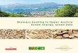 Broschüre: Biomass heating in Upper Austria - Green energy ... · Renewable energy in Upper Austria Biomass market development p. 06 ... Biomass district heating networks ... densities