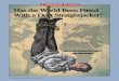 A SympoSium of ViewS Has the World Been Fitted …...12 The InTernaTIonal economy SprIng 2017 A SympoSium of ViewS Has the World Been Fitted With a Debt Straightjacket? T he world’s