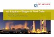 Air Liquide - Biogas & Fuel Cells · 2012-06-21 · Air Liquide - Biogas & Fuel Cells Subject: Presentation about Air Liquide's biogas technologies and integration with fuel cells