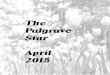The Palgrave Star The magazine of the Palgrave and District Community Council . Registered Charity 269132
