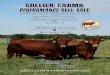 Collier Farms Performance Bull Sale - Beefmaster · PDF file Collier Farms Performance Bull Sale 2015 3 Welcome to the 2015 Collier Farms Performance Bull Sale ! On behalf of Collier