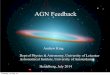 AGN Feedback - Max Planck SocietyQNQ/Slides/AndrewKing.pdf · AGN Feedback Andrew King Dept of Physics & Astronomy, University of Leicester Astronomical Institute, University of Amsterdam