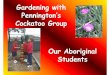 Gardening with Pennington’s Cockatoo Group · Already started by the Cockatoo Group • Investigating use of native plants for food and medicinal purposes • Planting seeds in