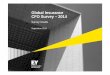 Global Insurance CFO Survey – 2014 · Page 1 Global Insurance CFO Survey – 2014 Introduction Conducted during the first half of 2014, this survey of senior executives across 35