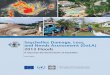 Seychelles Damage, Loss, and Needs Assessment (DaLA) 2013 ... · Danny Faure, in the immediate aftermath of the devastating floods. The report is a joint collaboration of Government