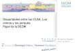 Disparidades entre las CCAA. Los cómos y los porqués ... · Continua actualización del apartado para pacientes de la página y de la web SEOM con consejos prácticos para pacientes