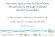 @bluegreencities - Livable Cities Forum€¦ · 02/04/2014  · project) $224 million in CSO maintenance and repair costs. International case studies: Newcastle, UK. ... Wingrove,