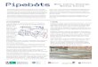 Water Industry Challenges Workshop Overviewpipebots.ac.uk/wp-content/uploads/2019/12/Pipebots_Wate... · 2019-12-03 · Water Industry Challenges Workshop Overview ondition Monitoring