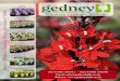 Wholesale Catalogue 2015/16 Specialist Wholesale Growers of … · 2016-06-16 · Wholesale Catalogue Here at Gedney Bulb Company we pride ourselves in being specialist wholesale