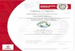 Certificate of Approval - DSM · IATF Certificate N°: 339014 Bureau Veritas Certification Certificate N°:BEL-21057/1-TS For Bureau Veritas Certification Holding, Le Triangle de
