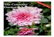 The Garden Connection - The Newsletter of the Colorado ...coloradogardenclubs.org/wp-content/uploads/2019/10/Connection-F… · The Garden Connection - The Newsletter of the Colorado