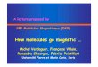 A lecture proposed by SPP Molekular Magnetismus (DFG)obelix.physik.uni-bielefeld.de/~schnack/molmag//material/... · 2015-02-18 · Magnets in our world We are in a real world, at