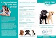 Opening hours & contacts Puppy care on your new The Lake ... · Puppies require a high quality diet for proper bone growth, coat condition and dental development. After bringing your