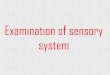 Examination of sensory system - University of Babylonrepository.uobabylon.edu.iq/2010_2011/4_22706_756.pdf · 2011-04-22 · Examination of sensory system •Nervous system Composed