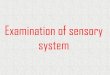 Examination of sensory system - University of Babylonrepository.uobabylon.edu.iq/2010_2011/4_22136_756.pdf · Examination of sensory system •Nervous system Composed of :-1- central