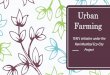 Urban Farming - The Energy and Resources Institute · 2018-01-29 · Urban farming may provide employment opportunities to communities with agricultural skills The produce, if in