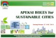 APEKSI ROLES for SUSTAINABLE CITIES 3 Session 7_Apeksi.pdf · Now in 2014, we are conducting it for ... (Local Government for Sustainable Development), we are running 3 years projects,