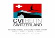 INTERNATIONAL Vaulting Competition ... - cvi-switzerland.chVAULTING 2016 4 IV. GENERAL INFORMATION 1. ORGANISER Name: lg global net GmbH Address: Wilkerstrasse 60, 3097 Liebefeld Telephone: