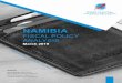 NAMIBIAfirstcapitalnam.com/cms/upload/Namibia Fiscal... · Namibia’s Fiscal Policy Analysis March 2019 First Capital Economics Reports 2019 2 2. FISCAL POLICY OUTCOMES UNDER DIFFERENT