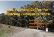 Quintessential California: Modeling Eucalyptus Trees · Forest Culture and Eucalyptus Trees and touted their virtues. • Popularity of the Eucalyptus rose to the “craze” level