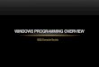 Windows Programming Overviewewh.ieee.org/r1/rochester/computer/2011/20110224/... · •.NET Window Presentation Foundation (WPF) WINDOWS PROGRAMMING LANGUAGES