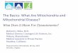 The Basics: What Are Mitochondria and …longislandeds.com/.../Boles.MitochondrialPrimerPatients.pdfresult in secondary mitochondrial dysfunction. • Mitochondria make the vast majority
