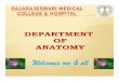 RAJARAJESWARI MEDICAL COCO G & OSLLEGE ...RAJARAJESWARI MEDICAL COCO G & OSLLEGE & HOSPITAL Welcomes one & all 1 VISION DEPARTMENT OF ANATOMY ¾Education is the training of the mind