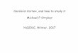 Cerebral Cortex, and how to study it Michael P Stryker NS201C, … · 2017-02-10 · Cerebral Cortex, and how to study it Michael P Stryker NS201C, Winter, 2017. History of Visual