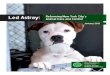 Led Astray: Reforming New York City’s Animal Care and Control2 Led Astray: Reforming New York City’s Animal Care and Control. 1. Restructure AC&C into an independent non-profit