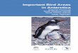 Important Bird Areas in Antarctica - BirdLife Data Zonedatazone.birdlife.org/userfiles/file/IBAs/AntPDFs/IBA... · 2016-10-31 · Important Bird Areas in Antarctica Antarctic Peninsula,