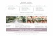 ALL ALBUMS INCLUDE 40 PAGES / 20 SPREADS AND YOUR … · 2018-12-27 · SIGNATURE COLLECTION: $5300 2 photographers 8 hours coverage bridal session engagement session usb & online
