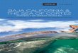 BAJA CALIFORNIA & THE SEA OF CORTEZ · GRAY WHALES UP CLOSE California gray whales migrate yearly from their feeding grounds in Alaska to the calving lagoons on the west side of the