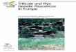 Genetic Resources Genetic Resources in Europe · ii AD HOC MEETING ON TRITICALE AND RYE GENETIC RESOURCES IN EUROPE Bioversity International is an independent international scientific