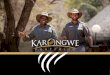 ONE EXPERIENCE - Karongwe Portfolio€¦ · Step into an unparalleled African safari experience at Becks Safari Lodge; the latest addition to the renowned Karongwe Portfolio. O˚ering
